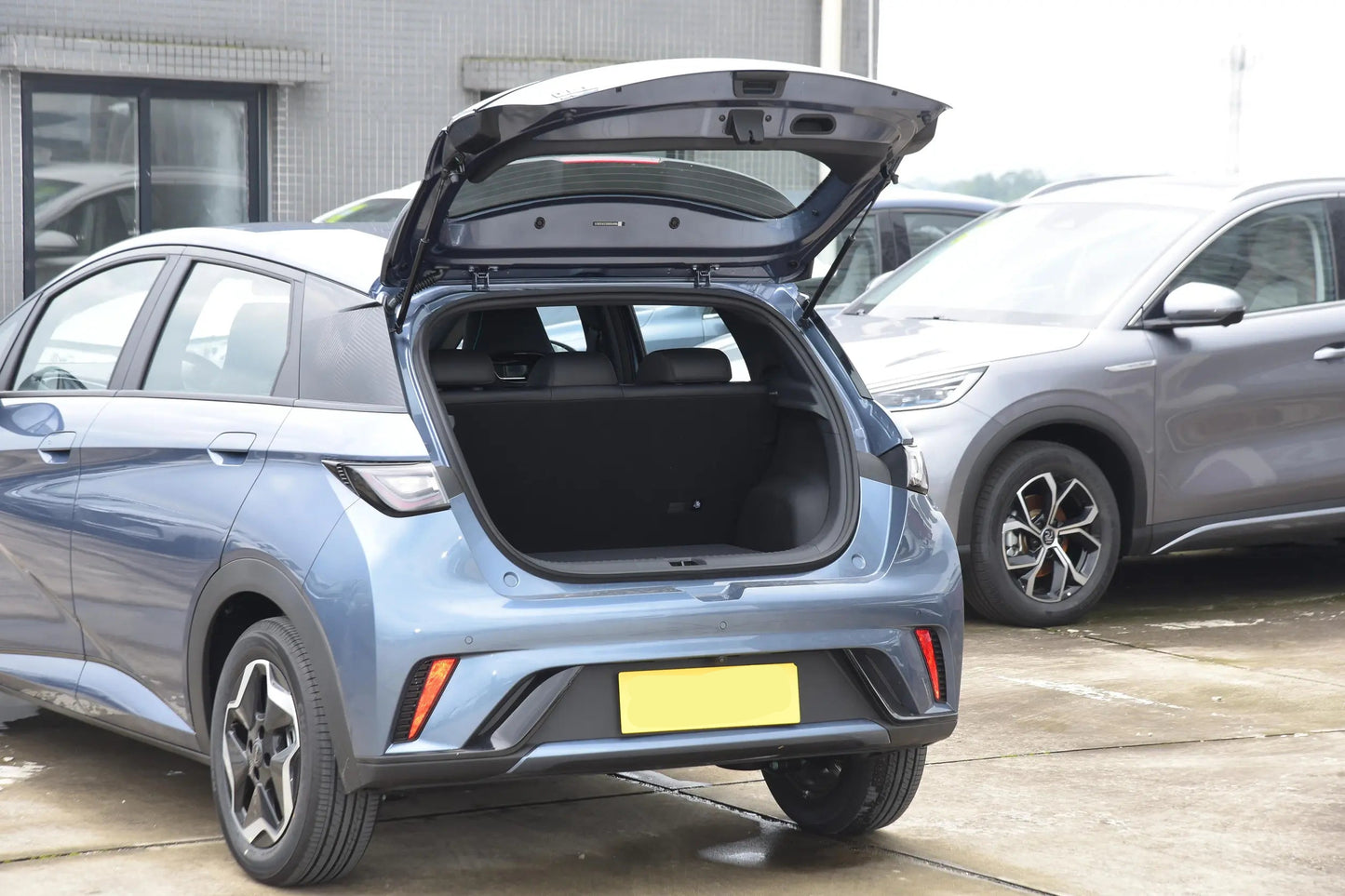 BYD Dolphin