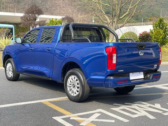 2020 GreatWall Pao (Bao)