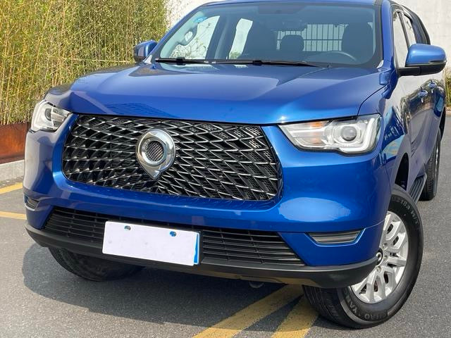 2020 GreatWall Pao (Bao)