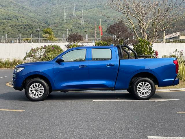 2020 GreatWall Pao (Bao)