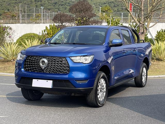 2020 GreatWall Pao (Bao)