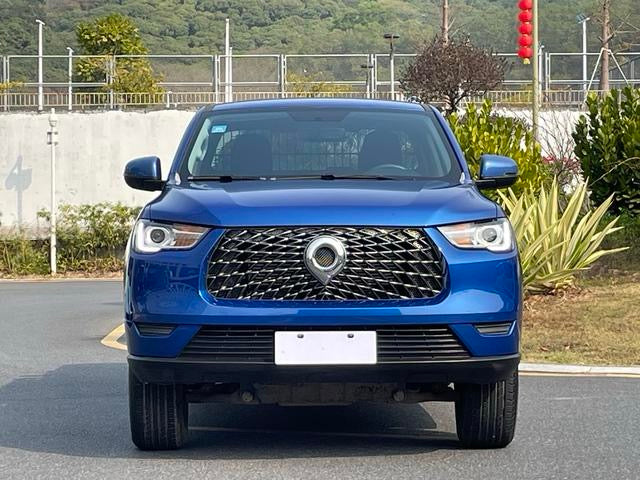 2020 GreatWall Pao (Bao)