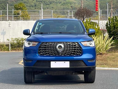 2020 GreatWall Pao (Bao)