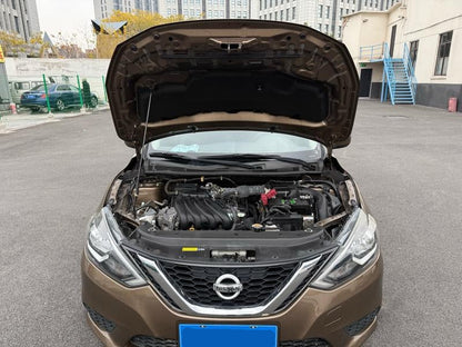 2020 Nissan Sylphy (Almera)