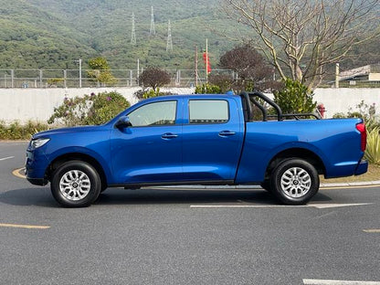 2020 GreatWall Pao (Bao)